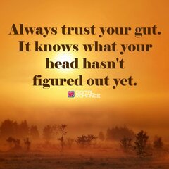 Trust your Gut.jpg