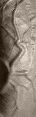 Veiny Shaft.jpg