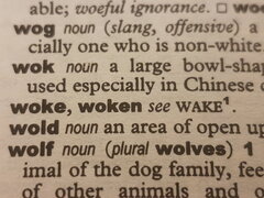 woke 2.jpg