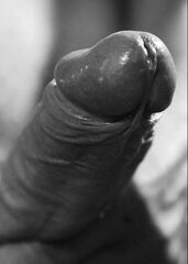 Dk31.jpg