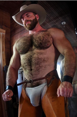 hung beefcake.png