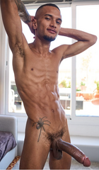 Igor Silva 10 inch, uncut and girthy.png