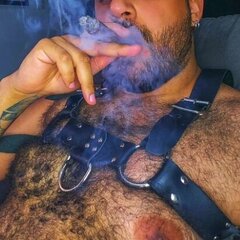 mrcigarbear