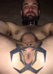 pig with tatted loose cunt.png