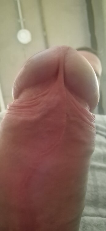 20240321_090932.jpg