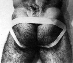 dream arse - breed til my nuts are shooting blanks.png