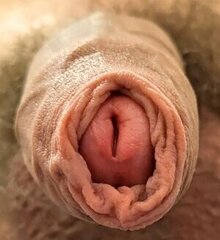 lick the slit .. :->