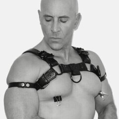 LeatherandMuscles