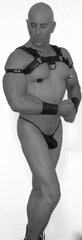 SmoothLeatherandMuscles