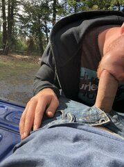 road trip break