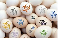 got eggs?