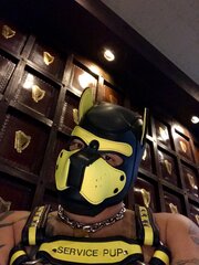 IML