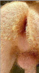 perfect ginger fuckhole.png