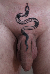 tatted cock - shoots venom?.png