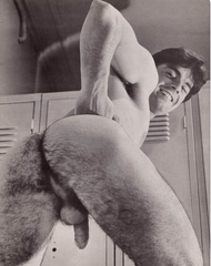 an arse my cock craves.png