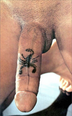 stinger - scorp on shaft and vein.png