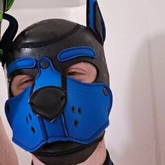 Switchpup