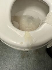 someone left lube on the toilet seat