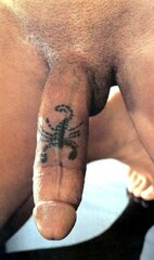 scorpion dick