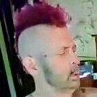 JeffSLmmPigDadd