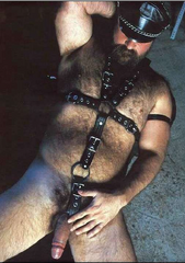 hot stud in slave harness - drain him dry.png
