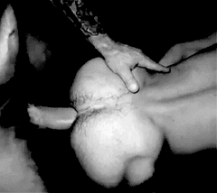 Ass at the sauna.gif