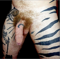 ginger uncut drooling pre.png