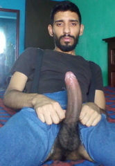 plough my innards.png