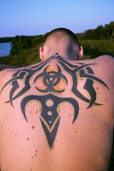 rear entry delivery.jpg