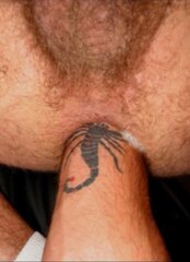 scorp wrist fist watch it disappear.jpg